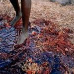 When the ordeal is over, all that is left is a spot of blood on the ground.