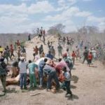 It is not an orderly affair. Fights over the best cuts of meat are common.