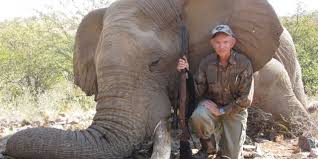 Africa home to the worlds largest Elephant population has started auctioning tags for the first time since the ban has been lifted last year