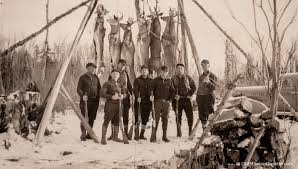 decline in hunting