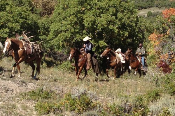 African Lion Charging Trophy Hunter [Video ] » Got Hunts