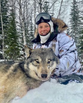 This is one of the best wolf hunts available anywhere in the world! The outfitter who runs this Ontario wolf hunt has 30+ years of successfully hunting wolves.