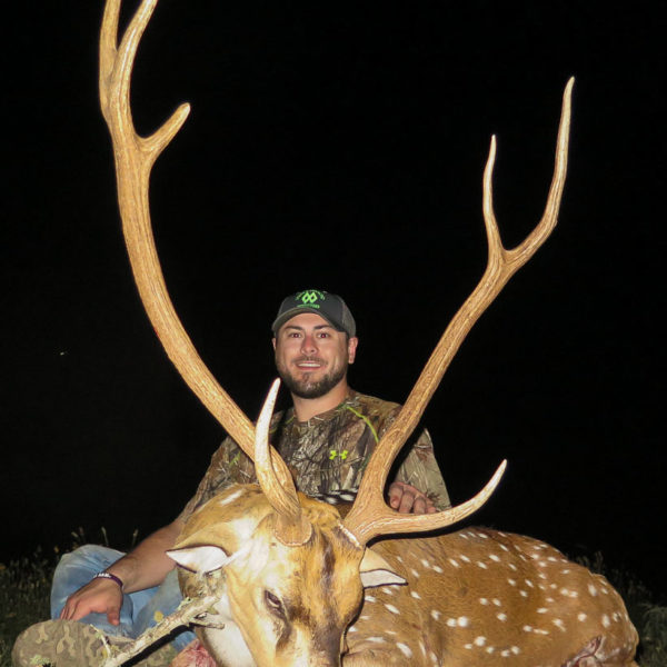 Texas Axis Deer Hunts » Got Hunts