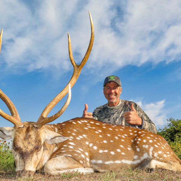 Texas Axis Deer Hunts » Got Hunts