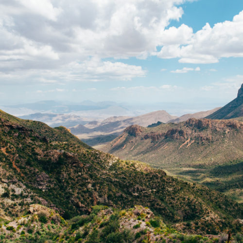 With ranches in the Chinati, Davis, Glass and Sierra Vieja Mountains I can hunt one ranch for several days and then move to another ranch. This keeps the hunting pressure down, and the trophy quality high for all of my aoudad hunts.
