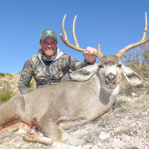 West Texas mule deer can be found from about 4,000’, the desert floor, to over 6,500’, the tops of the mountains.