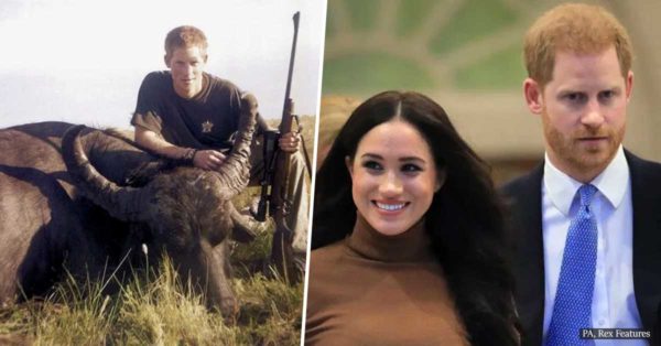 Prince Harry Sells His Rifles and Gives Up Hunting to Please Meghan Markle Read More: Prince Harry Sells His Hunting Guns to Please Meghan Markle | https://thebeet.com/prince-harry-sells-his-hunting-rifles-and-gives-up-hunting-for-meghan-markle/?utm_source=tsmclip&utm_medium=referral