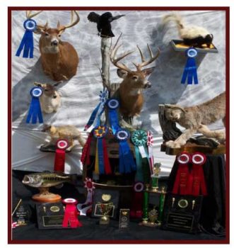 award animals