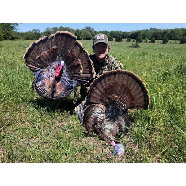 Montana Decoy Turkey Wiley – Tom