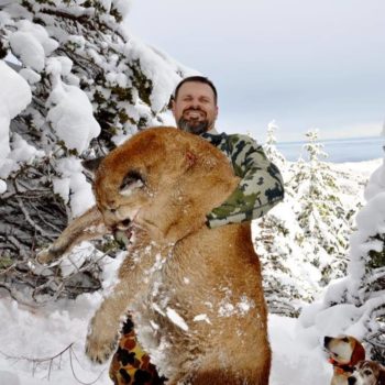 mountain lion