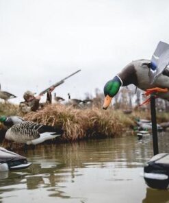 DECOYS