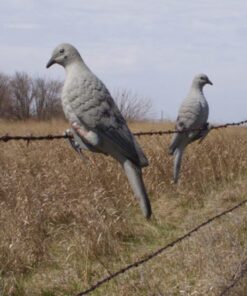 DOVE DECOYS