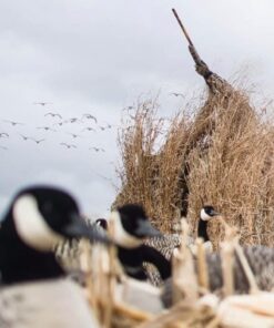 GOOSE CALLS
