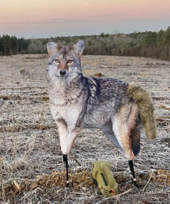PREDATOR HUNTING DECOYS