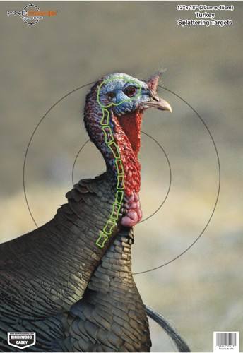 B/C Target Pregame 12"x18" Turkey - 8 Targets