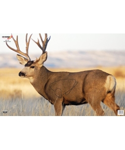 B/C Target Eze-Scorer 23"x35" Mule Deer 2 Targets