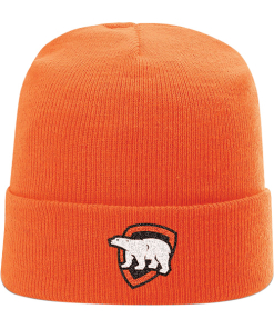 Arctic Shield Richardson Solid Beanie w/Cuff – Blaze Orange