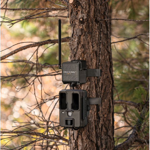 cell link trail camera