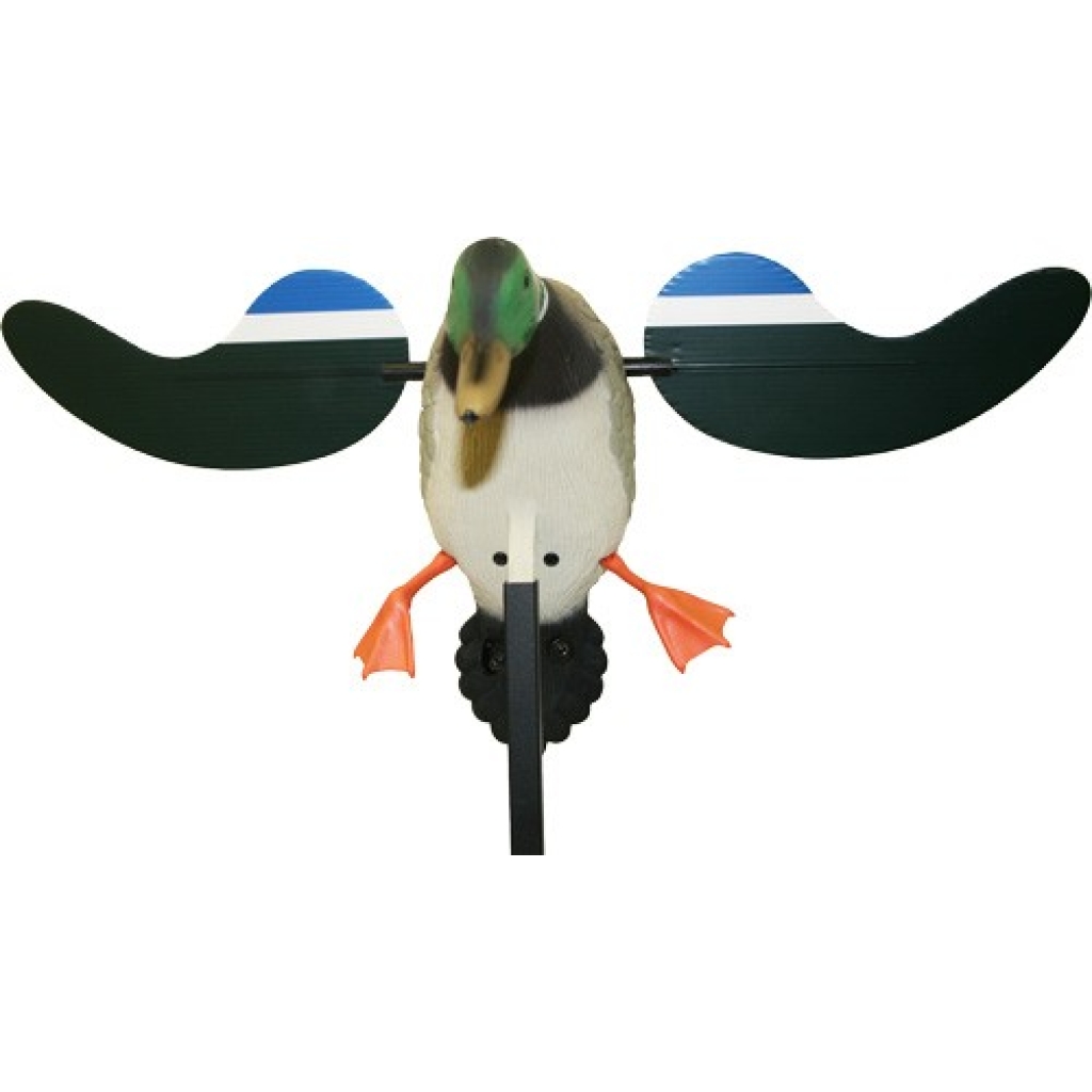 Mojo Baby Mojo Drake Decoy » Got Hunts