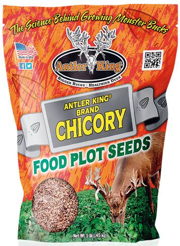 Antler King Chicory 1 lb. Bag - Perennial, 1/4 Acre