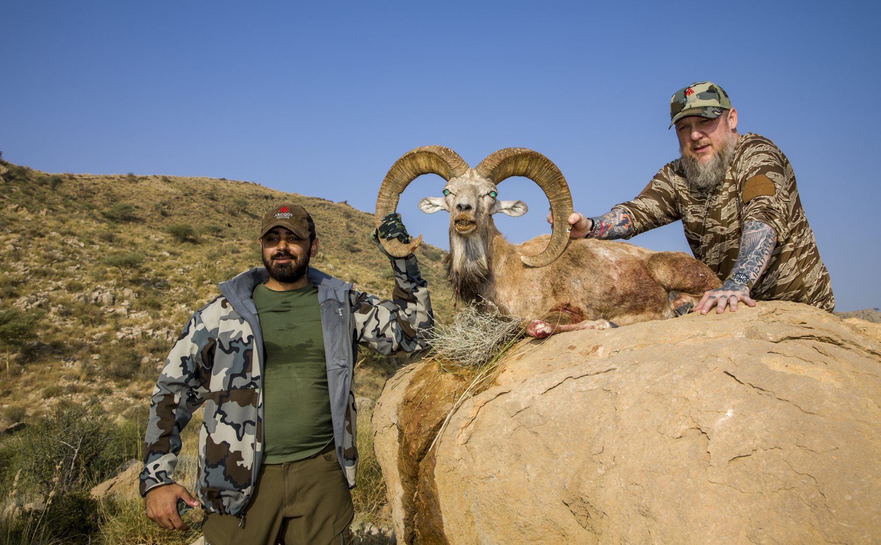 Blandford Urial Hunts in Pakistan